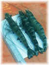 Marketable size tiger prawns