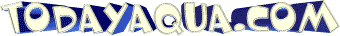 TODAYAQUA.COM